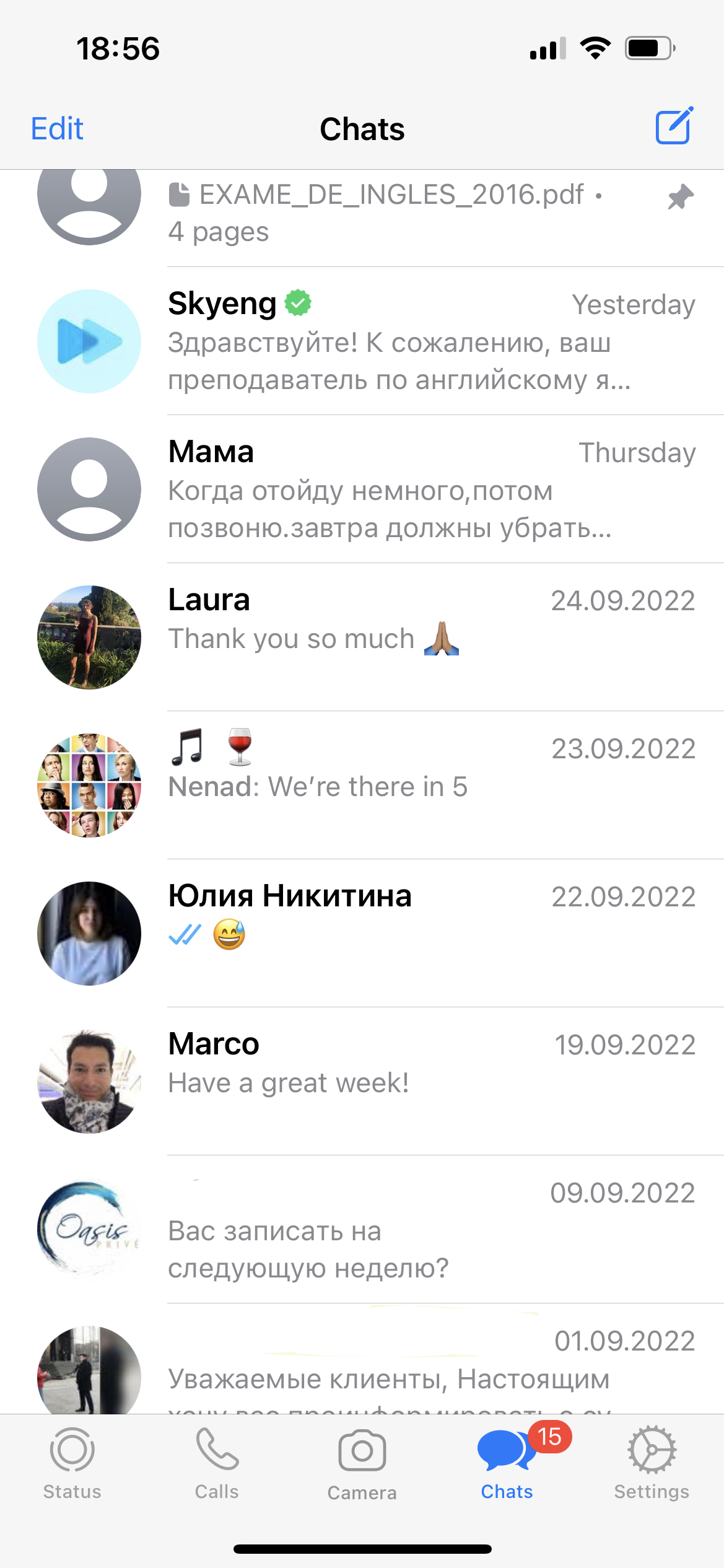 Скриншот окна мессенджера WhatsApp с телефона